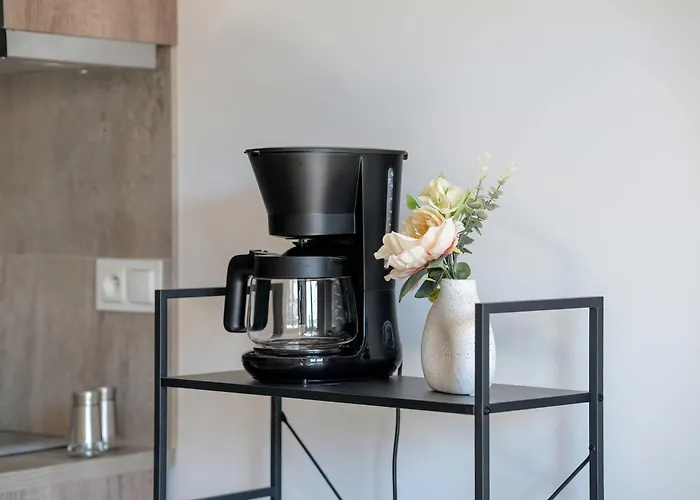 Meissnera Bright In With Parking By Renters アパート ポズナン