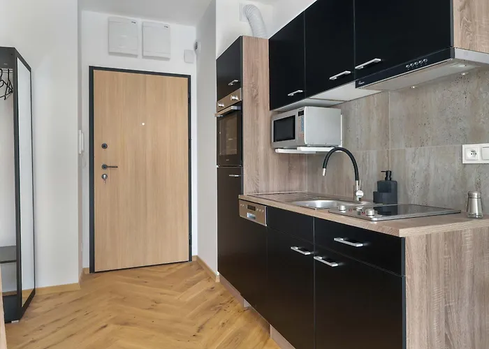 Meissnera Bright In With Parking By Renters アパート